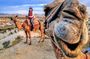 Istanbul to Cappadocia : 3 Days Trip Including Balloon Ride & Camel Safari