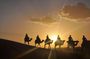Sunset Camel Ride in the AGAFAY DESERT trip from Marrakech