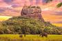 Kandy to Sigiriya Day Tour and Dambulla cave temple with private vehicle