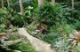 Taste of Barbados Full-Day Sightseeing tour