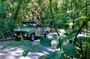 Rio : Half-Day Jeep Tour at Tijuca Forest
