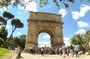 Private Tour of Roman Forum & Palatine Hill