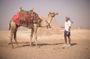 Private Tour To Giza Pyramids , Memphis, Saqqara & Dahshur Pyramids