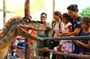 Langkawi Best Animal Attractions plus City Tour