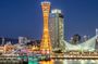Japan Kobe 10 Hour Chartered Tour