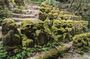 Otagi Nenbutsu Temple and Arashiyama Bamboo Forest Tour