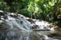 Falmouth Shore Excursion Dunn's River Falls