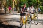 The 1-Hour Amsterdam Bike Tour