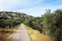 4x4 safari - 4h Alpilles Provence - Departure from Arles