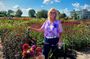 Dahlia Bicycle Tour Exploring Dahlias and Windmills