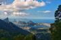 Tijuca Forest Trail Running Tour