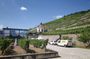 Meissen and its vineyards DAY TOUR with Van Small Group 6h