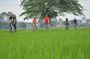 Hanoi Countryside By Bike & Local House and Food Tasting