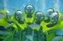 Underwater Scooter Experience in Punta Cana