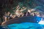 LUX Blue Cave, Lady of the Rocks, Mamula, Submarine Tunnel+ (3h)