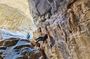 Snake Canyon Adventure
