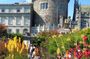 Walk Dublin’s Medieval Walls Viking History and Local Stories