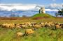 Zadar and Nin Private Tour Culture Tasting and History