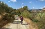 Discover the unknown side of Crete by E-Bike