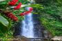 Dark View Falls Tour with Trubb Taxi Tours SVG