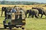 Habarana: Morning or Afternoon Safari at Minneriya National Park