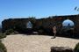Venos, Bandol and Cassis, Tasting and Provencal Discovery