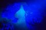Aruba 1-Tank guided UV Night Dive for certified divers with rental equipment