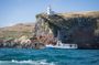 Dunedin City to Sea Wildlife Cruise + Peninsula Bus Tour