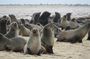 8-Day Etosha NP, Swakopmund & Sossusvlei