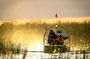Miami Everglades National Park Half Day Small Group Tour
