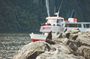 Milford Sound Cruise with Live Nature Guide and Hot Drinks