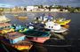 Puerto Montt: Full day Chiloe island visiting Ancud - Caulin - Lacuy