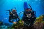 Explore Jounieh: Scuba Diving in Lebanon