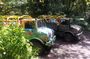 Half Day Jeep Safari