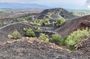 Etna, Wine and Alcantara Tour - From Taormina
