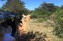 Brač Off Road Tour Hidden Villages Views and Local Stories