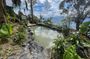 Medellin Coffee Tour & Spa