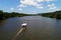 Ultimate Daintree Rainforest Wildlife Experience Cruise