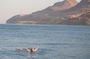 One Day Tour : Dead Sea, Madaba, Mount Nebo including lunch