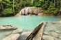 Kanchanaburi Tour Erawan Waterfall Temples and Giant Rain Tree