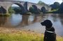 Braveheart (Battle of Stirling Bridge) Tour