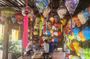 Lantern making Class-Basket Boat- Buffalo Ride-Vegatable Farming