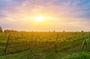 Kakheti wine region - Private Tour