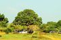 Sinharaja Rainforest & Udawalawe Safari - 2 Days, All Inclusive