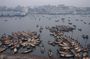 Life of Dhaka Cultural Tour - Full Day