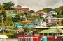 Family Walking Tour in Roseau/Rozo