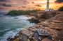 Galle Day Tour With Scenic Coastal Train Ride From Colombo