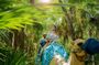 Camel Expedition and Beach Club In Riviera Maya