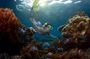 Bali Blue Lagoon Snorkeling and Waterfall Tour