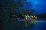 Kuala Selangor Firefly Tour from Kuala Lumpur with Hotel Pickup